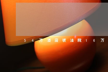 54万酒店被法院16万拍卖