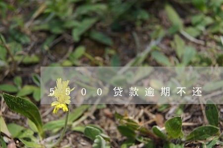 5500贷款逾期不还 5500贷款逾期不还