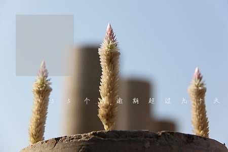 55个月逾期超过九十天怎么办 55个月逾期超过九十天怎么办