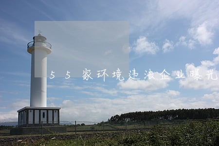 55家环境违法企业曝光 55家环境违法企业曝光