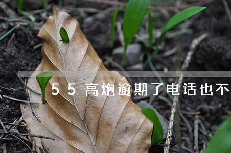 55高炮逾期了电话也不打 55高炮逾期了电话也不打