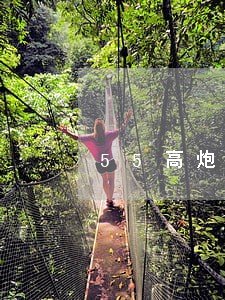 55高炮逾期五天安静得害怕 55高炮逾期五天安静得害怕