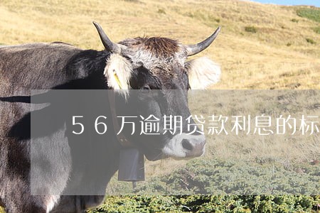 56万逾期贷款利息的标准 56万逾期贷款利息的标准