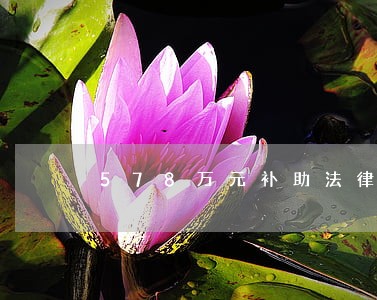 578万元补助法律人才 578万元补助法律人才