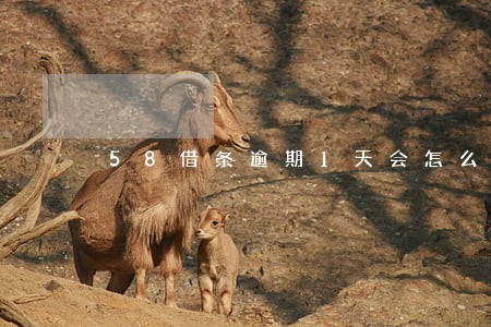 58借条逾期1天会怎么样 58借条逾期1天会怎么样