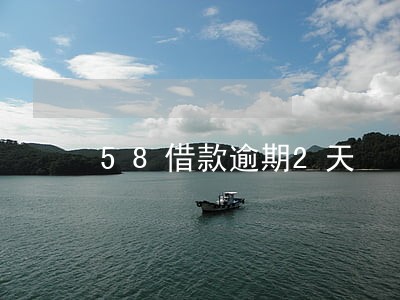 58借款逾期2天