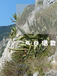 58借款逾期2天就还上有事吗 58借款逾期2天就还上有事吗