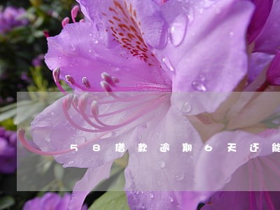 58借款逾期6天还能借吗 58借款逾期6天还能借吗