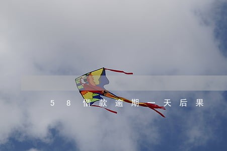 58借款逾期一天后果 58借款逾期一天后果