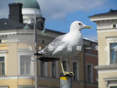 58借款逾期一年还会怎样 58借款逾期一年还会怎样