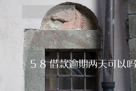 58借款逾期两天可以吗 58借款逾期两天可以吗