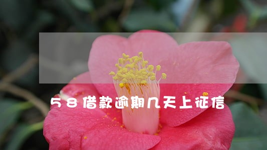 58借款逾期几天上征信 58借款逾期几天上征信