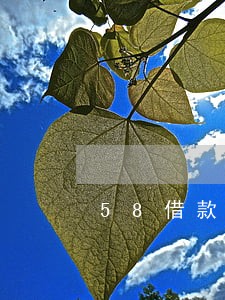 58借款逾期后还本金 58借款逾期后还本金