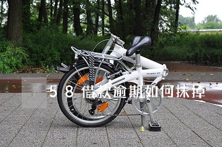 58借款逾期如何抹掉 58借款逾期如何抹掉