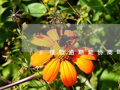 58借款逾期能协商吗 58借款逾期能协商吗