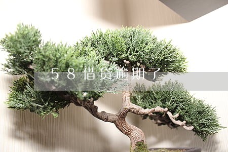 58借贷逾期了 58借贷逾期了