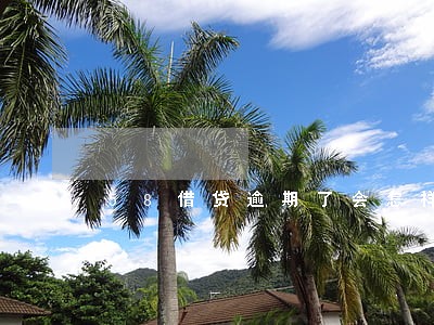 58借贷逾期了会怎样 58借贷逾期了会怎样