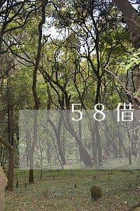 58借贷逾期说要网络仲裁 58借贷逾期说要网络仲裁