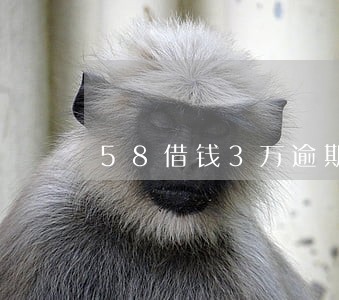 58借钱3万逾期了 58借钱3万逾期了