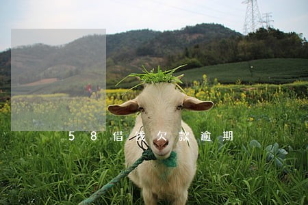 58借钱欠款逾期 58借钱欠款逾期