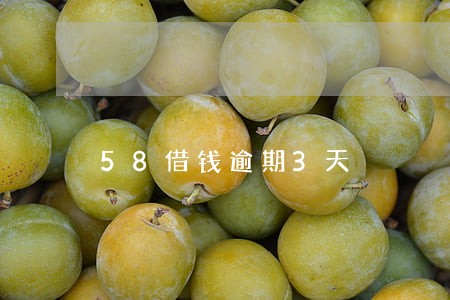 58借钱逾期3天 58借钱逾期3天