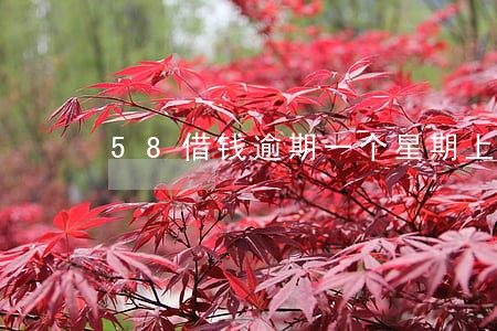 58借钱逾期一个星期上门催收 58借钱逾期一个星期上门催收