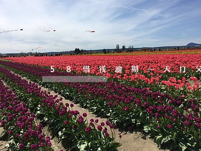 58借钱逾期一天打父母电话 58借钱逾期一天打父母电话