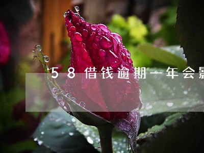 58借钱逾期一年会影响信用吗 58借钱逾期一年会影响信用吗