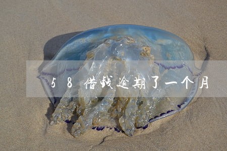 58借钱逾期了一个月