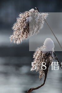 58借钱逾期会怎么样 58借钱逾期会怎么样