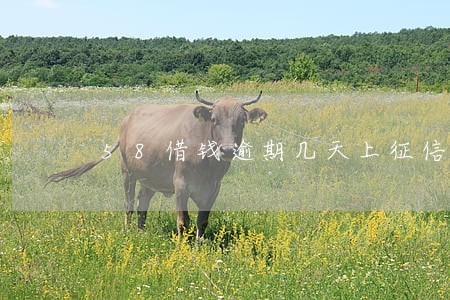 58借钱逾期几天上征信 58借钱逾期几天上征信