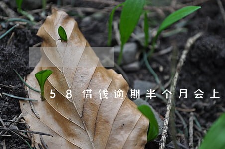 58借钱逾期半个月会上门吗 58借钱逾期半个月会上门吗