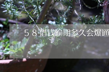 58借钱逾期多久会爆通讯录 58借钱逾期多久会爆通讯录