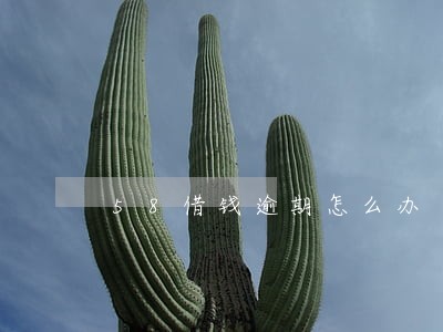 58借钱逾期怎么办 58借钱逾期怎么办