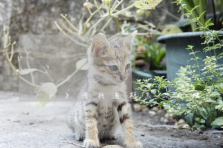 58借钱逾期怎么处理 58借钱逾期怎么处理