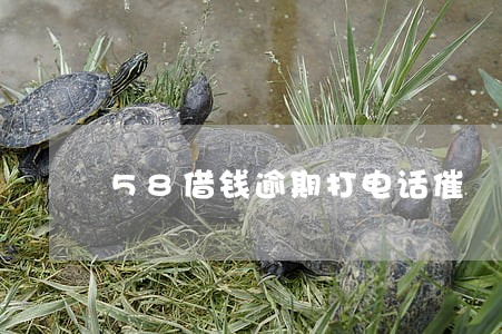 58借钱逾期打电话催 58借钱逾期打电话催