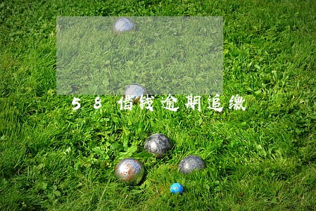 58借钱逾期追缴