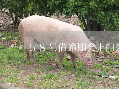 58号借逾期会上门么 58号借逾期会上门么