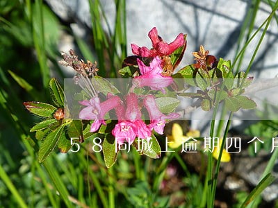 58同城上逾期四个月说要备案 58同城上逾期四个月说要备案