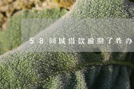 58同城借款逾期了咋办 58同城借款逾期了咋办