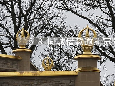 58同城借款逾期宽限期 58同城借款逾期宽限期