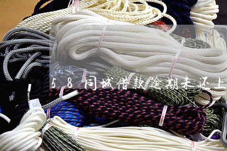 58同城借款逾期未还上征信吗 58同城借款逾期未还上征信吗
