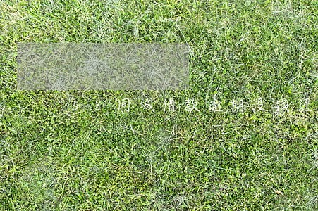 58同城借款逾期没钱还怎么办 58同城借款逾期没钱还怎么办