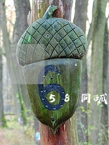 58同城借款逾期的多吗 58同城借款逾期的多吗