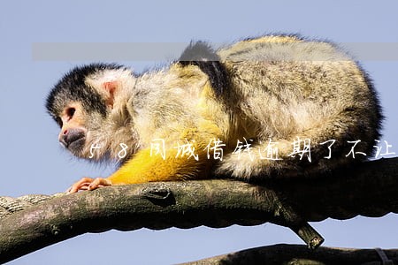 58同城借钱逾期了不让缓几天