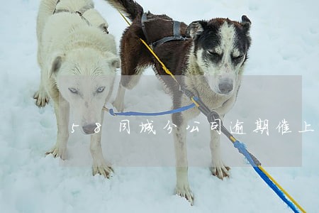 58同城分公司逾期催上门 58同城分公司逾期催上门