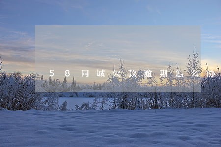 58同城欠款逾期怎么协商 58同城欠款逾期怎么协商