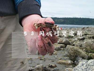 58同城网贷逾期