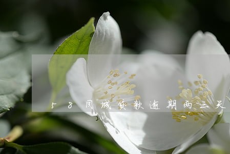 58同城贷款逾期两三天 58同城贷款逾期两三天