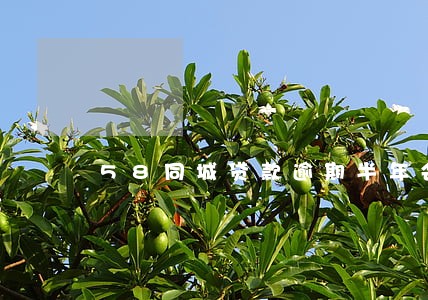 58同城贷款逾期半年会上门吗 58同城贷款逾期半年会上门吗